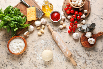 Ingredients for pizza on light background