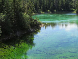 the crystal clear water of a lake on the Valley of the Five Lakes circuit, close to Jasper, Icefields Parkway, Rocky Mountains, Alberta, Canada, July