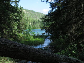 Obraz premium the Valley of the Five Lakes circuit, close to Jasper, Icefields Parkway, Rocky Mountains, Alberta, Canada, July