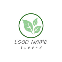 Leaf icon Vector Illustration design Logo template