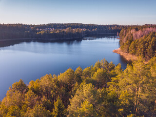 Aerial drone flies over spring forests in the golden evening light