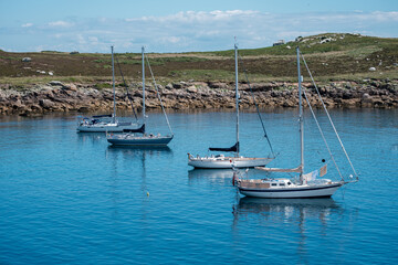 boats in the harbour
