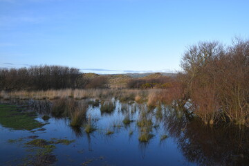 flooded sand dunes