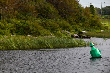 Obraz premium Galway Ireland and the Corrib river