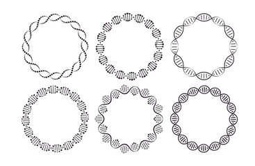 DNA round frames. Circle framing with genome helix structure isolated on white background vector set. Six pattern brushes in panel. Molecular round border for science, biology or medicine