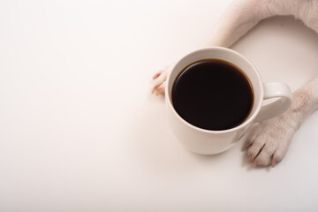 Dog paws and cup of black coffee on white background.