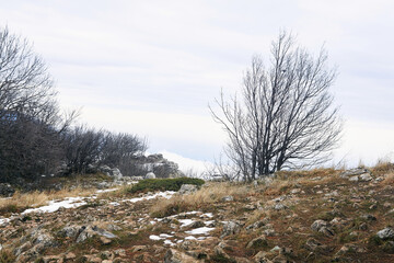 winter mountain landscape on the edge of the abyss