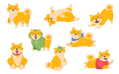 Fototapeta premium Funny akita puppy set. Happy cute Japanese dog in different clothes sitting, standing, playing isolated on white, Vector illustration for domestic animal, pet, friend concept