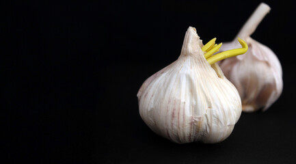heads of garlic on black background