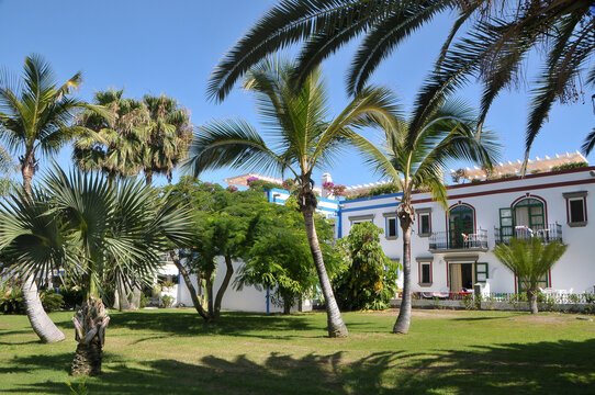 Jardines y edificios de apartamentos en la costa del Mog&aacute;n en Gran Canaria