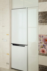 White big fridge in interior of kitchen.