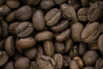 coffee beans close up