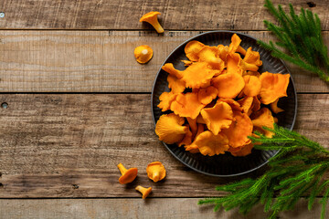 Mushrooms chanterelles in an iron retro bowl and forest moss on a wooden old background. Mock up. Top view. - obrazy, fototapety, plakaty