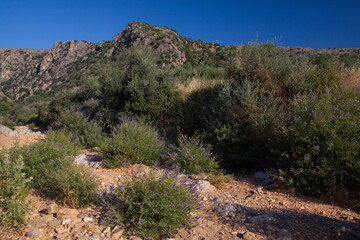 Landscape on Crete in Greece, Europe
