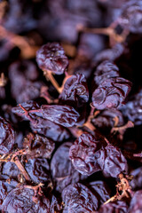 Sweet Barcelona, Spain