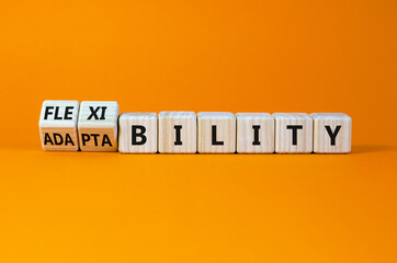 Flexibility and adaptability symbol. Turned wooden cubes and changed words 'adaptability' to...