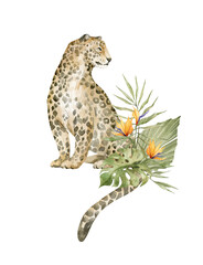 Watercolor cute leopard and floral tropical bouquets. Exotic wild cat, realistic animals, jaguar and plants, flowers.  © Kate K.