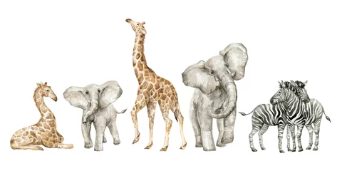  Aquarel set met wilde savanne dieren. Giraf, olifanten, zebra& 39 s. Leuke safari dieren in het wild © Kate K.