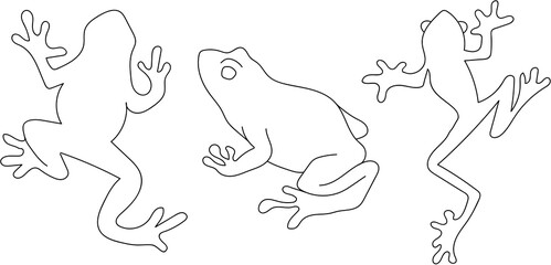 Set of line art amphibians in black and white. Outlines of frogs in a minimal style with no background