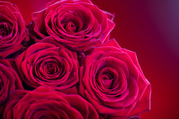 Bunch of roses on the bokeh background. Women’s day gift. 