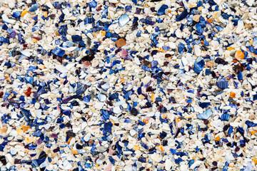 broken Mussel shells washed up on a beach