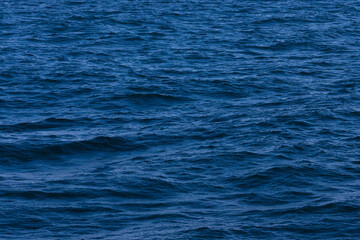 Surface of a calm blue sea. Selective focus. Shallow depth of field