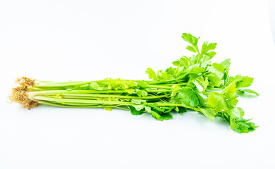 Fresh vegetable celery on white background