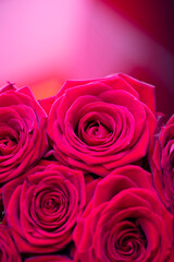 Bunch of roses on the bokeh background. Women’s day gift. 