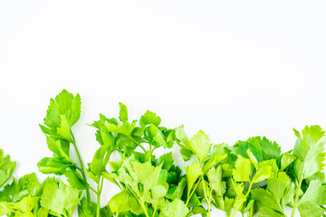Fresh vegetable celery on white background