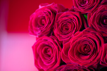 Bunch of roses on the bokeh background. Women’s day gift. 
