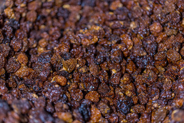 Sweet Barcelona, Spain