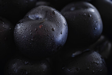 Plums closeup