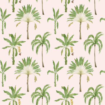 Watercolor seamless pattern with palm trees. Tropical jungle background. Coconut and banana palms. Exotic summer foliage, tropical forest landscape