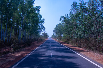 Picture of a empty road in between jungle taken while traveling
