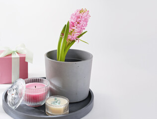 hyacinth flower, scented soy candles, pink gift box. holiday selebration. presents for her. copy space. spring holidays. birthday or anniversary concept.