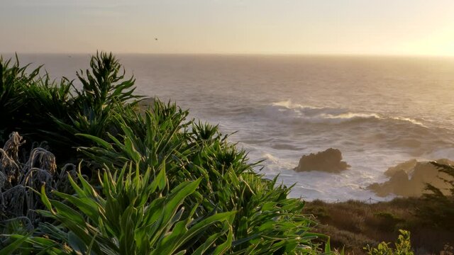 Sunset at scenic Big Sur coast of pacific ocean with beautiful green plants