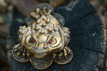 Metal frog figurine on a dark background.