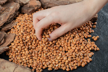 Female hands taking bunch of red beans