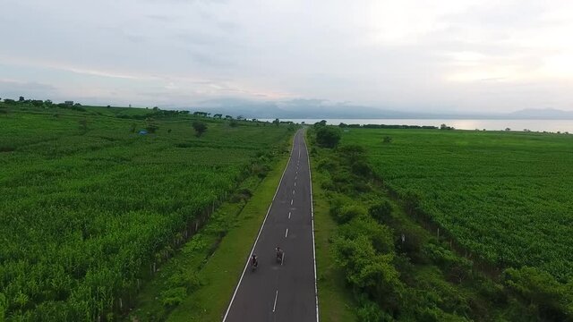 aerial drone footage of lonely narrow road in the rice corn field Samota Area, Sumbawa, Indonesia