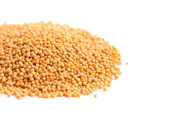 Pile of Mustard Seeds Isolated on a White Background