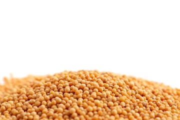 Pile of Mustard Seeds Isolated on a White Background