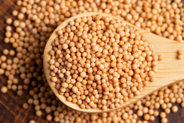 Spoon Full of Mustard Seeds on a Butcher Block