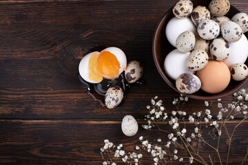 Fototapeta na wymiar Quail and chicken eggs in a bowl, broken egg, gypsophila on a brown wooden background.