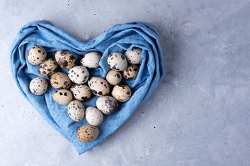 Fototapeta na wymiar Quail eggs in a blue heart-shaped napkin on a gray background.