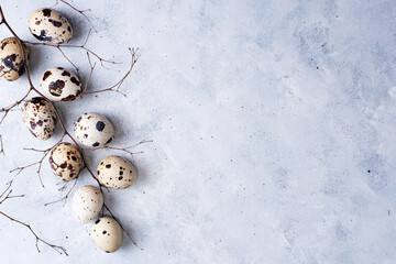 Quail eggs with beautiful branch on light gray background, elegant easter background