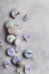 Set of various multicolored pastel macarons with flowers on gray concrete background. Overhead view, flat lay, copy space