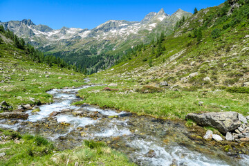 A serene view on snowy mountain from a small stream's side. The stream starts it's long way to the sea. Tall glacier towering above the landscape. Spring in the alpine valley.