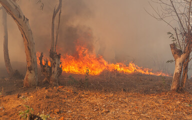 Wildfire in Malawi