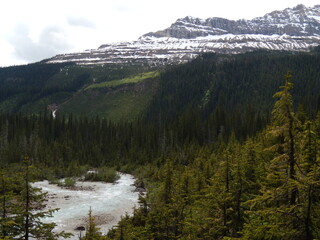 Scenery of the Canadian Rockies