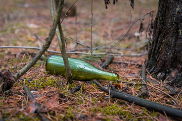 The green glass bottle lies thrown away in the forest and does not decompose